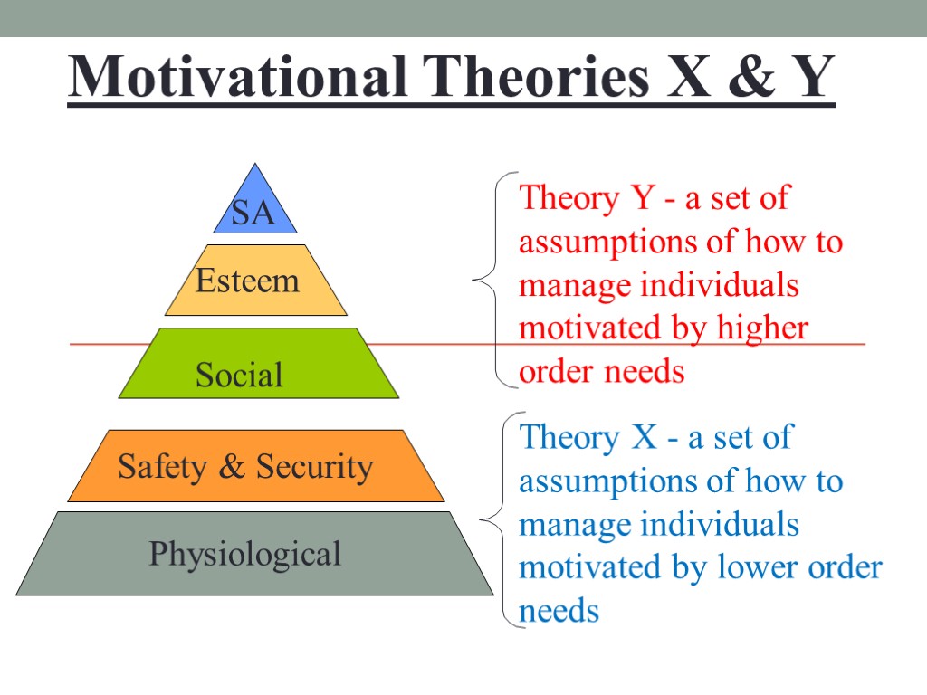 Motivational Theories X & Y Social
